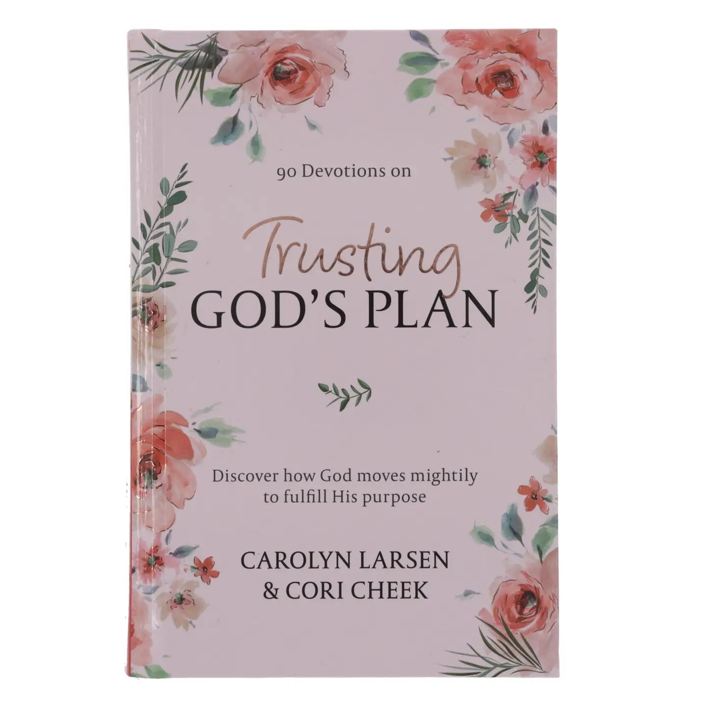 Devotional Trusting God's Plan