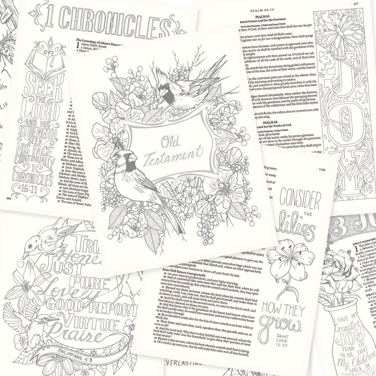 My Creative Bible (Pink) | KJV