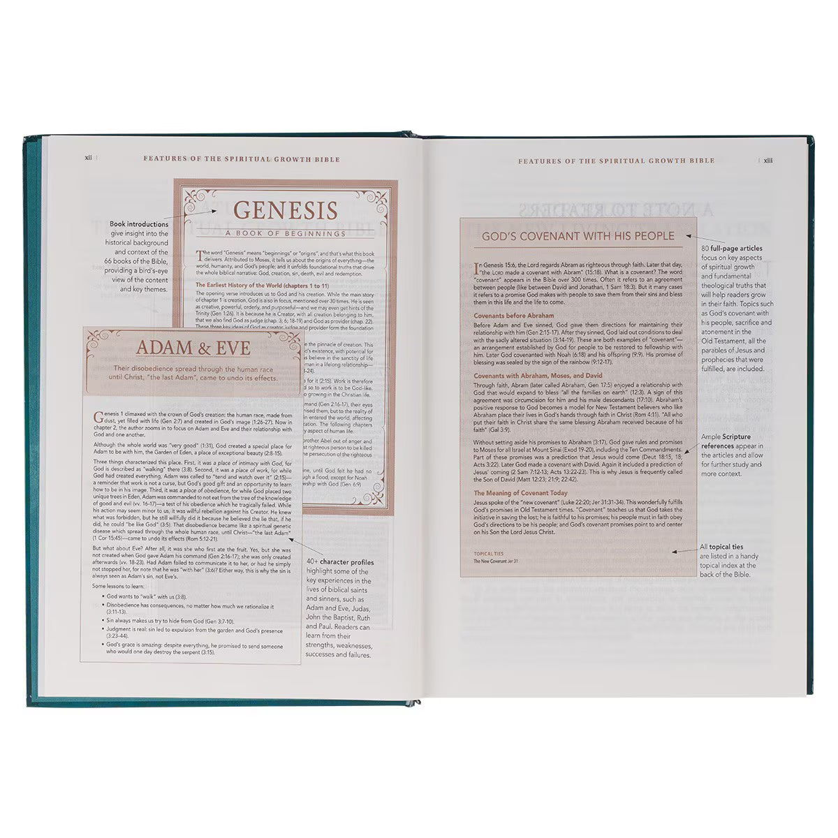 The Spiritual Growth Bible (Hard Cover) | Teal | NLT (Copy)