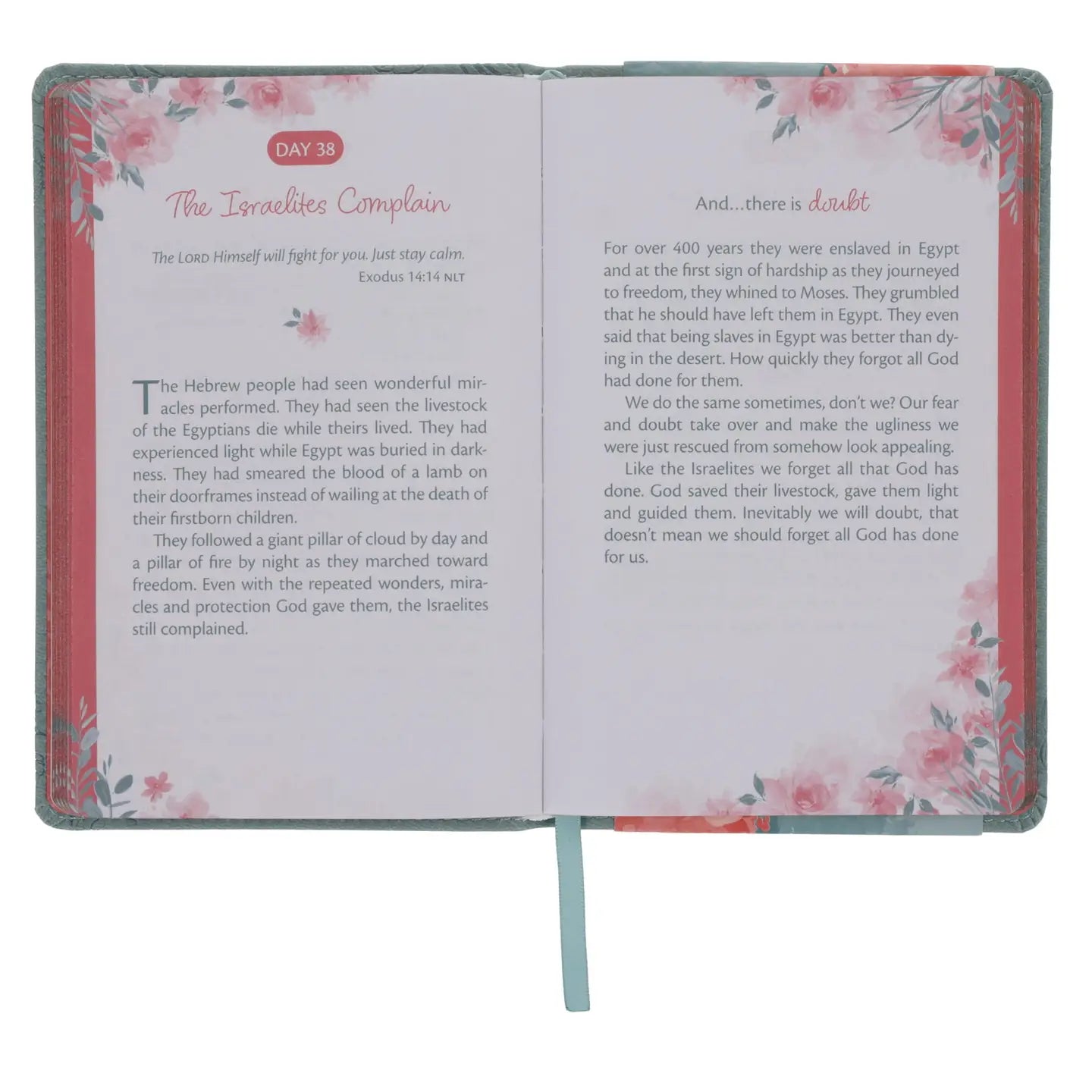 Devotional Trusting God's Plan Faux