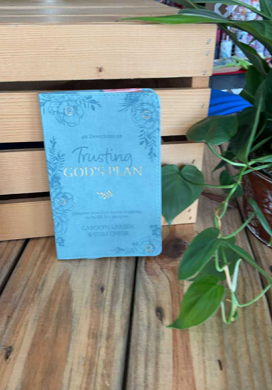 Devotional Trusting God's Plan Faux