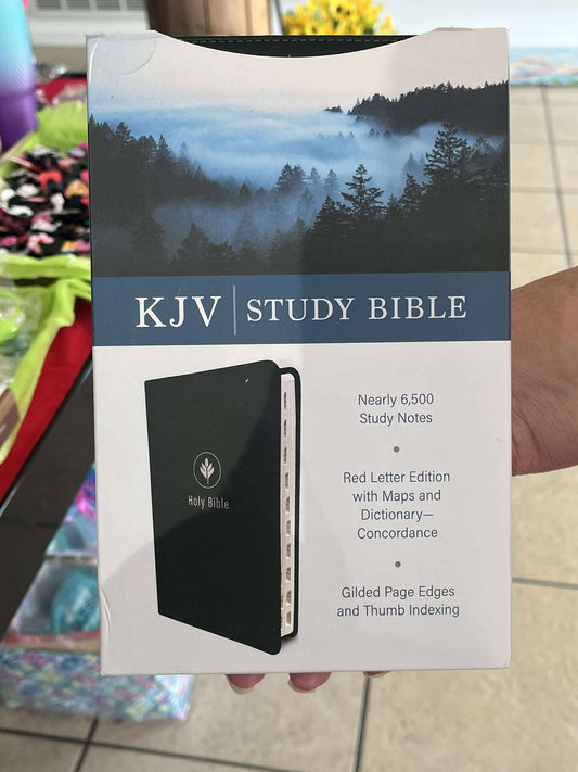 The KJV Study Bible (Indexed) [Evergreen Fog]