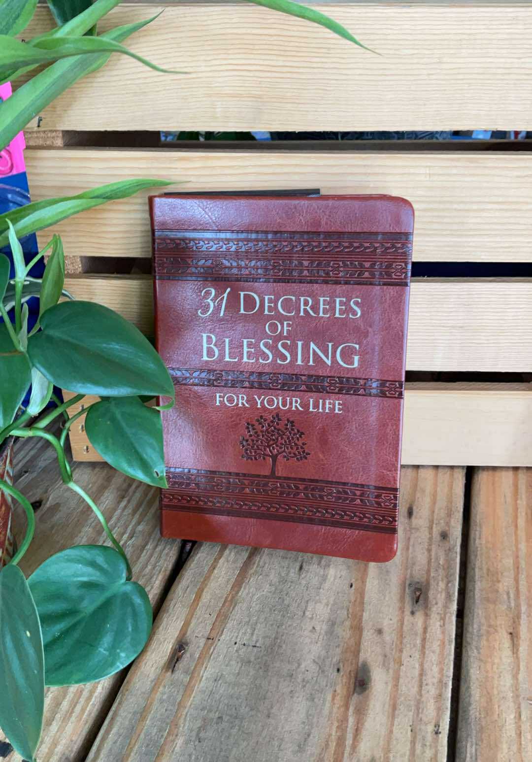 31 Decrees of Blessing for Your Life