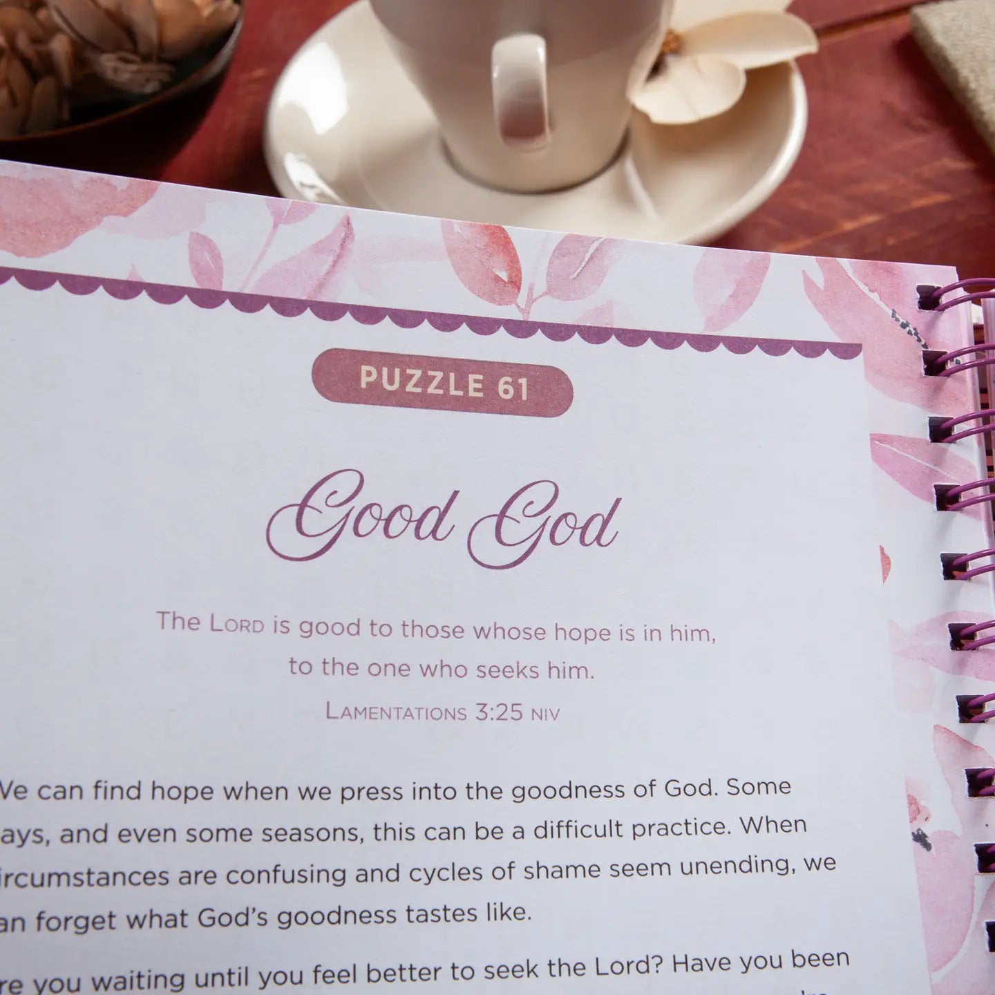 100 Days of Hope For Your Soul (Word Search Devotional)