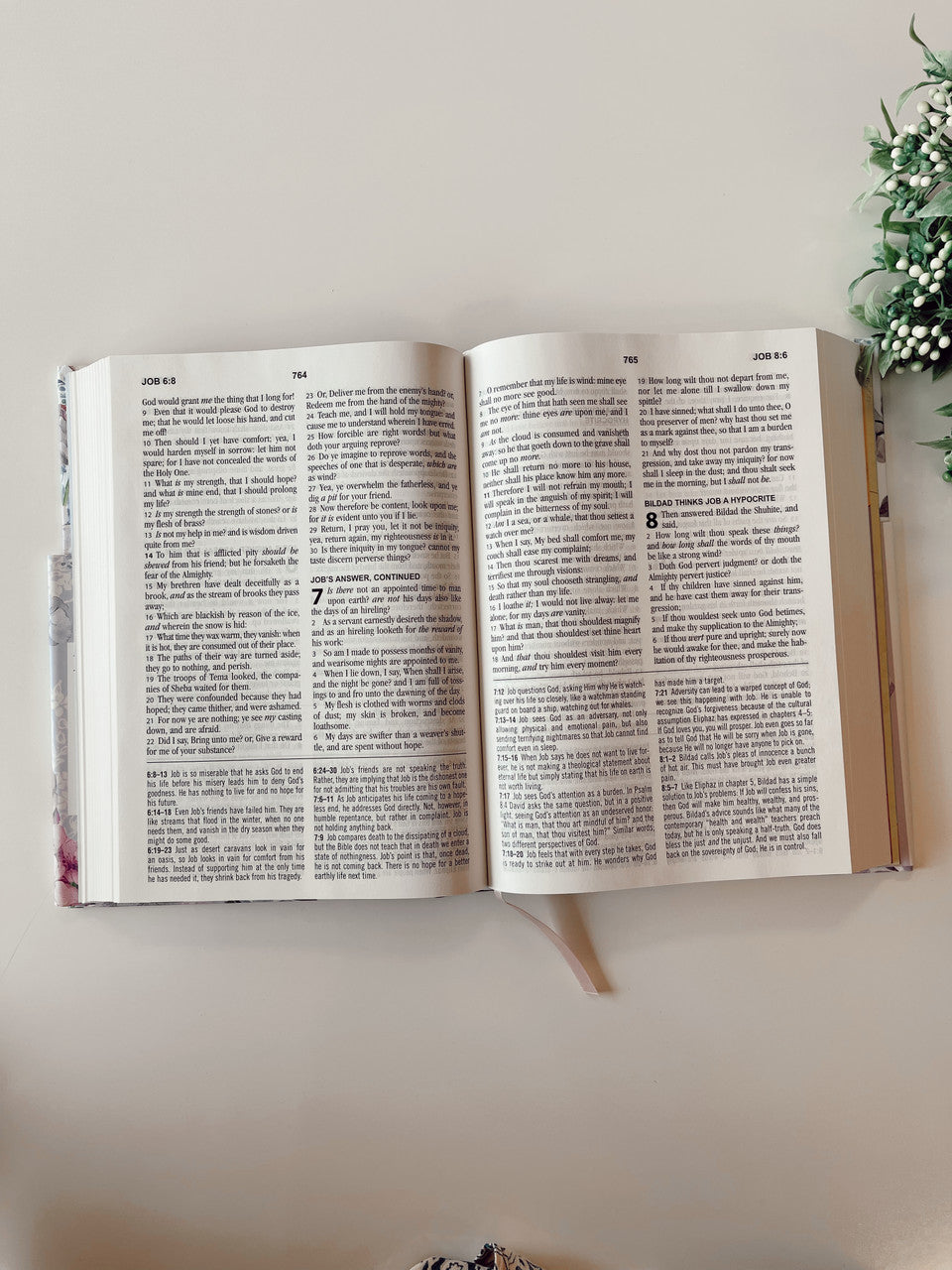 KJV Study Bible Large Print (Violet Hummingbird Edition)