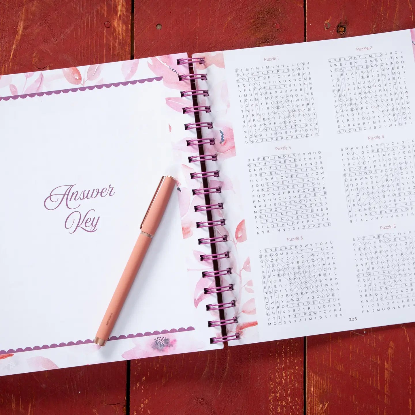 100 Days of Hope For Your Soul (Word Search Devotional)