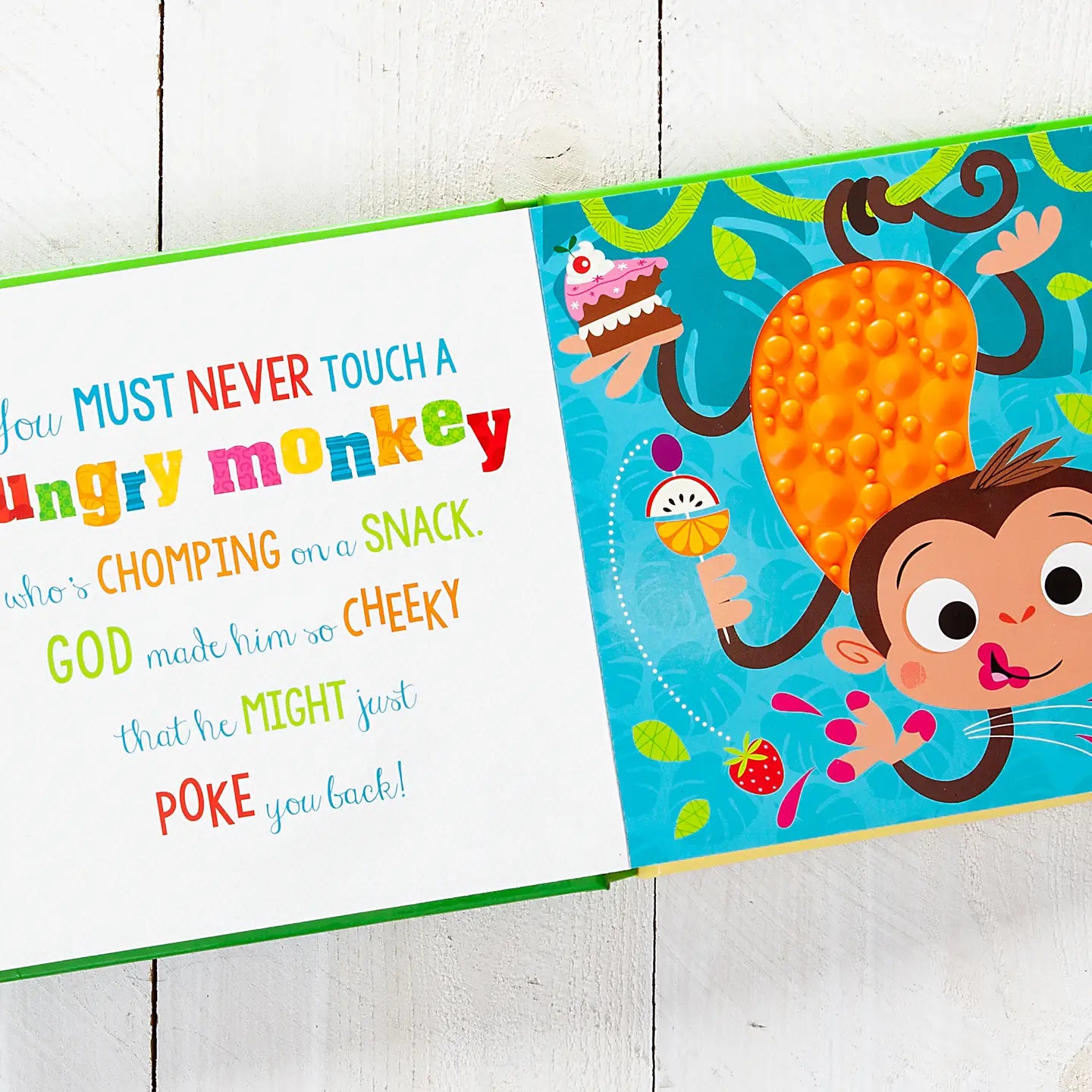 Never Touch God’s Hungry Animals (Tactile Book - Ages 0+)