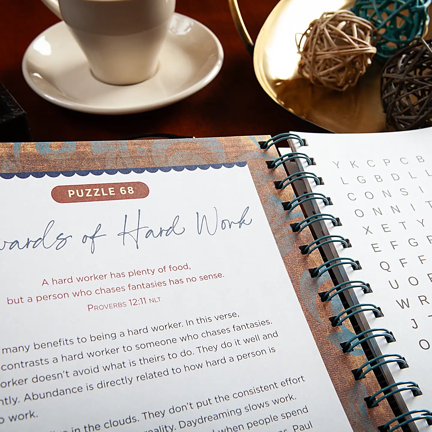 Bible Word Search Devotional (Proverbs)