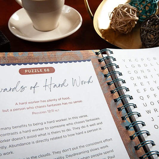 Bible Word Search Devotional (Proverbs)