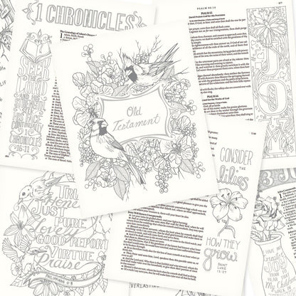 My Creative Bible (Pink) | KJV